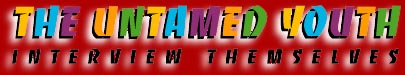 The Untamed Youth Interview Themselves